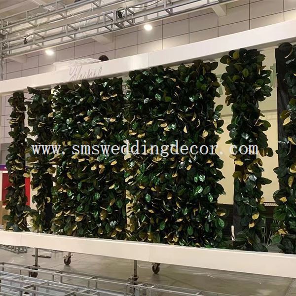 green wall leaves